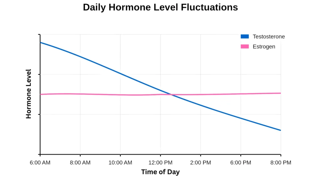 estrogen-and-testosterone-daily-hormone-fluctuations